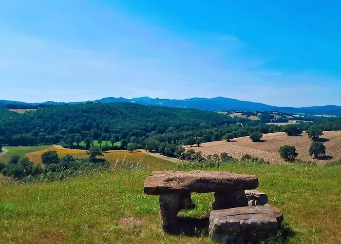 Cupola Geodetica